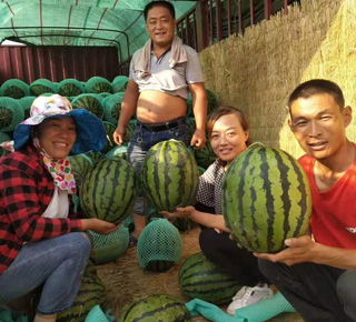 种植基地二